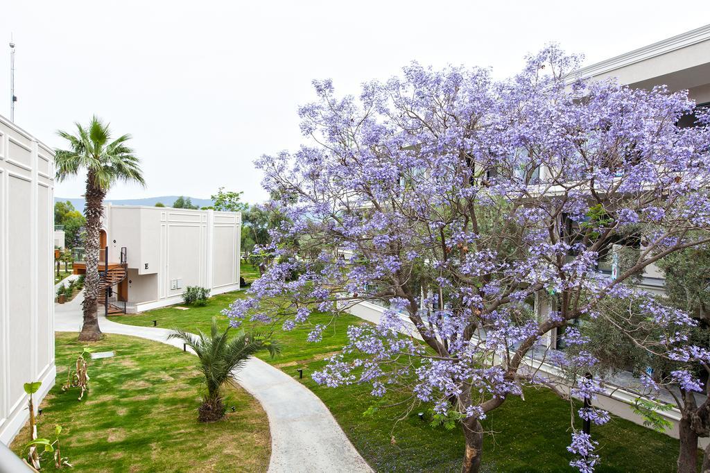 Aurum Didyma Spa & Beach Resort Akbuk  Bagian luar foto